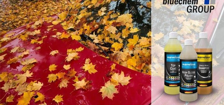 Lackschäden durch nasses Herbstlaub – Eingebrannte Blattstrukturen auf Fahrzeugoberflächen