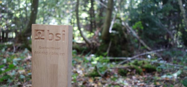 BSI schenkt Mitarbeitern Patenschaft für eine Waldfläche