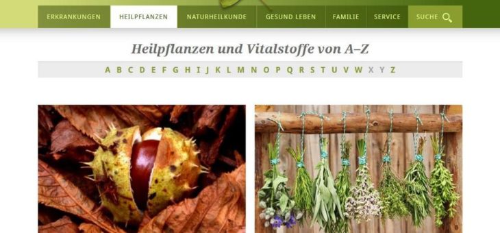 PhytoDoc zu den Effekten herbstlicher Heilpflanzen und den Geheimnissen des Weinlaubs