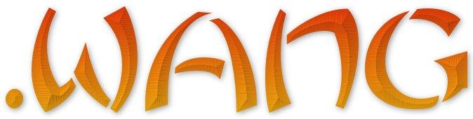 Mit Wang-Domains in China punkten