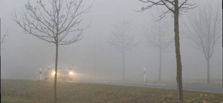 ARCD: Wann sind Nebelscheinwerfer und -schlussleuchten erlaubt?
