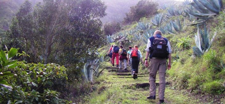 singlereisen.de: Aktivurlaub auf La Gomera für Singles & Alleinreisende – Eine üppige Natur und schöne Strände!