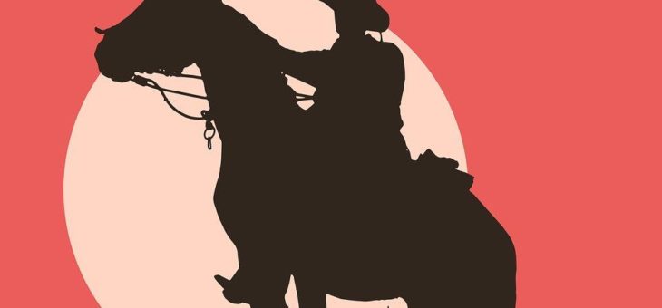 Country-Domains, Horse-Domains, Rodeo-Domains und andere Domains für harte Kerle