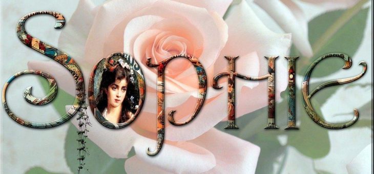 Für Ihren Namen: Name-Domains, ID-Domains oder MT-Domains