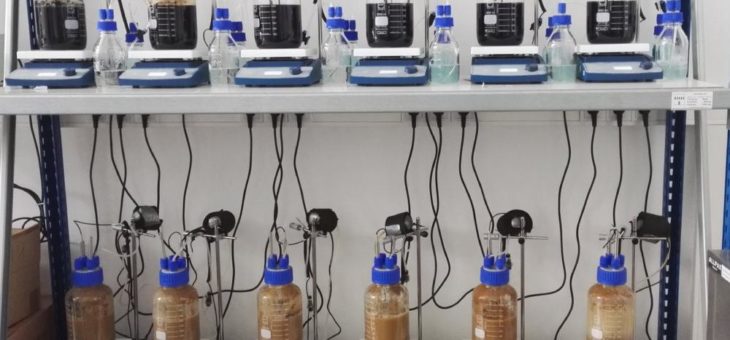 Adsorptiv-biologische Entfernung von Röntgenkontrastmitteln aus Abwässern