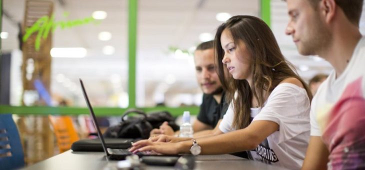 Keinen Durchblick im Dschungel der Studienangebote?