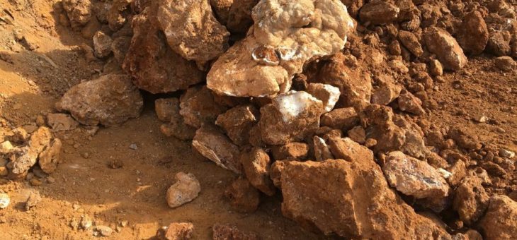 Pasinex Resources verstärkt sich mit Experten John Barry als VP of Exploration