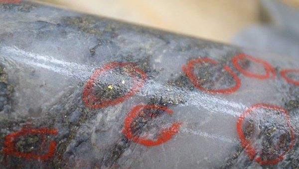 Bonterra legt wieder los: bis zu 26,7 g/t Gold pro Tonne erbohrt!