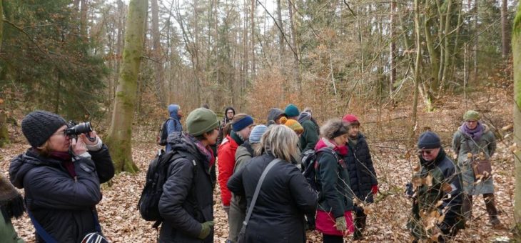 Sechstes Treffen der niedersächsischen Waldpädagogen