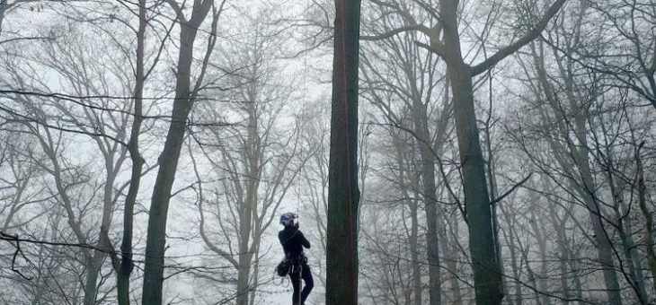 Fit für den Klimawandel