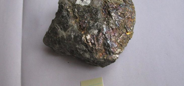 Pacific Rim Cobalt stößt erstes Arbeitsprogramm auf TNM-Projekt an