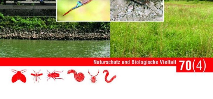 Rote Listen bestätigen Rückgang der Vielfalt der Insekten