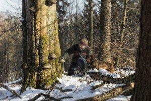 Urwälder von morgen – Niedersächsische Landesforsten stellen ihr erweitertes Naturwald-Konzept vor