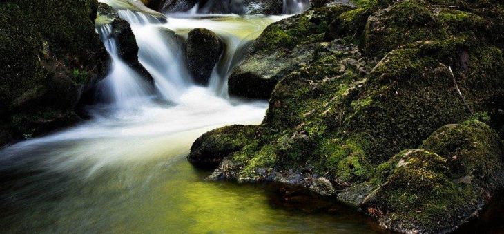 Neu: Liberalisierung der Registrierungsbedingungen bei den ie-Domains