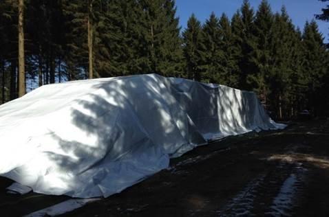 Vorsicht beim Waldspaziergang – Sturmholzaufarbeitung in Südniederachsen läuft auf Hochtouren