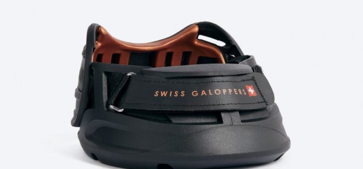 Alternativer Hufschutz