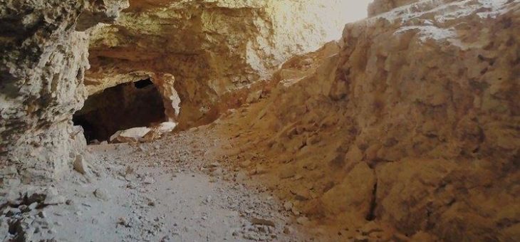 Desert Lion: Erste Lithiumauslieferung noch diese Woche geplant!