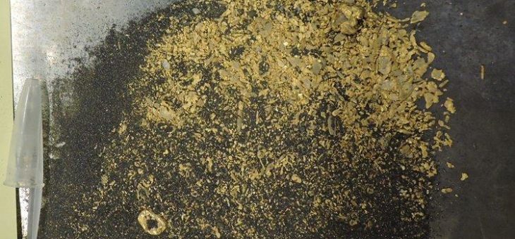 Orinoco Gold: Spektakuläre Entdeckung in Brasilien