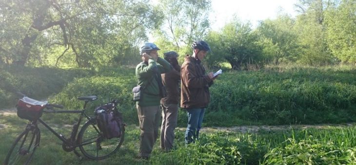 Bundesweites Birdrace: BfN-Team beobachtet in Bonn 89 Arten
