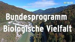 Neue Filme stellen Bundesprogramm Biologische Vielfalt vor