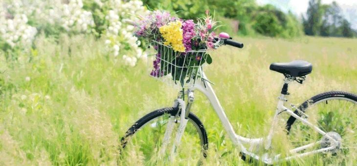 Durch eine Versiegelung mit Nanopolymeren  bleibt das Fahrrad länger sauber