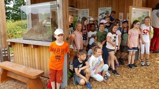 Ameisenschaugehege im Wildpark Neuhaus der Niedersächsischen Landesforsten eröffnet