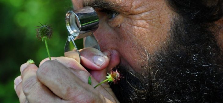 Achtsam sich selbst und der Natur begegnen