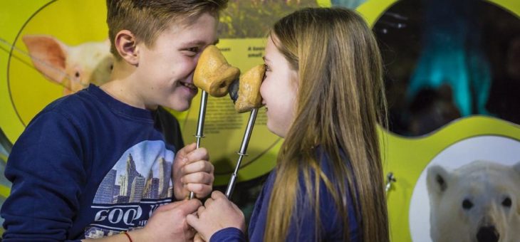 Schokoladenmuseum und Odysseum mit einem Ticket entdecken