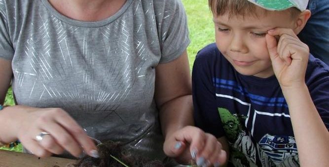 Ab in die Ferien mit dem Wiesenfest!