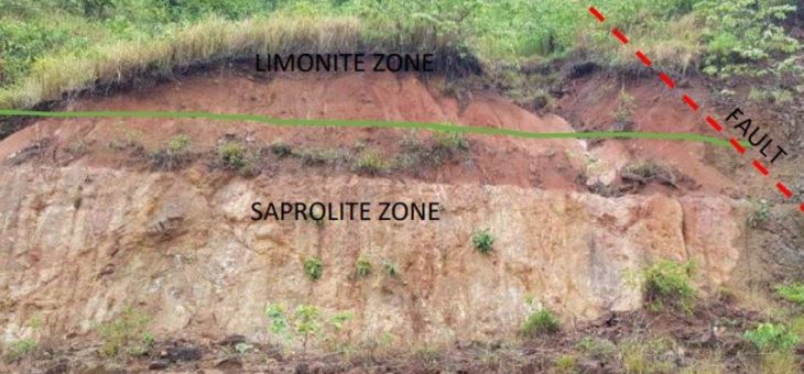 Pacific Rim Cobalt holt Asienspezialisten an Bord