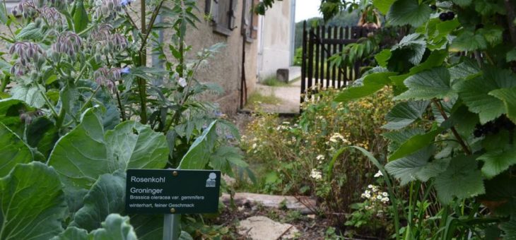 Sieben Gärten werden zu Lernorten über alte Sorten