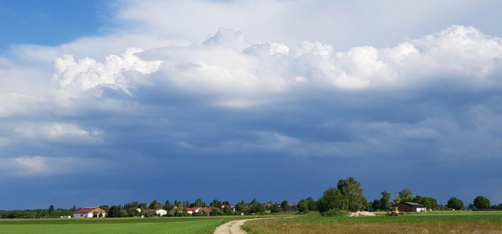 Die weiteren Aussichten für das Dach?