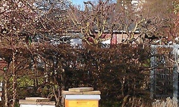 Imkern in der Stadt