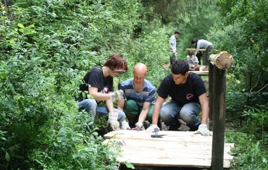Die Welt zu Gast im Harzer Landeswald