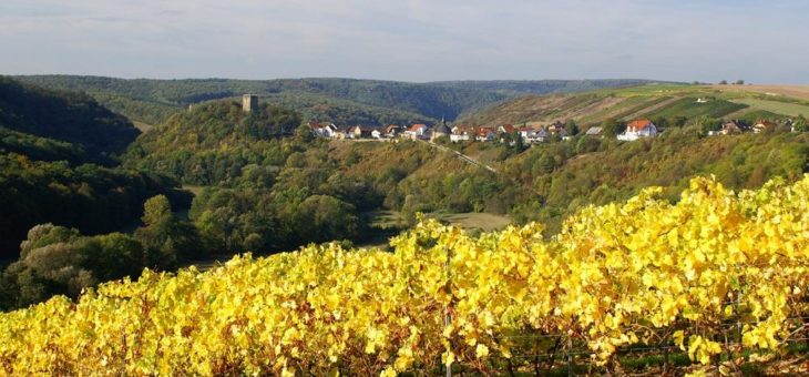 Auf den Spuren der Grafen von Sponheim