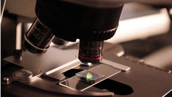 beMINT-Projekttag am 23. August 2018: Berufs- und Studienorientierung in den Mikrotechnologien