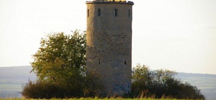 Deutsche Waldtage 2018: „Wandern mit andern“