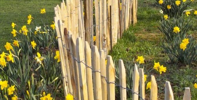 Zurück zur Natur: Zäune aus natürlichen Materialien wie Kastanie erfahren eine Renaissance