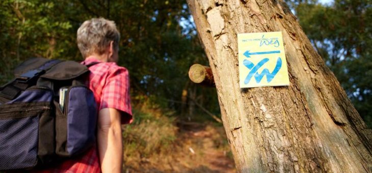 Weserbergland-Weg für Wanderer wieder komplett begehbar