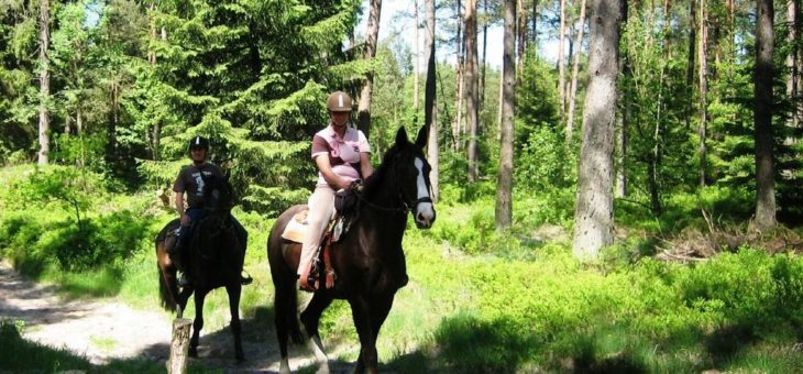 Mitmachen bei den Deutschen Waldtagen