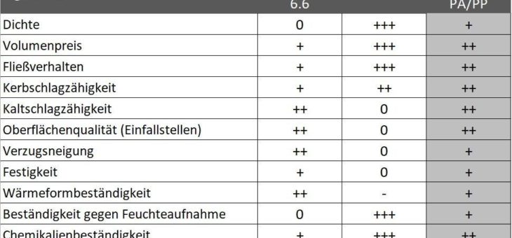 Mit ROMIRA auf die Piste