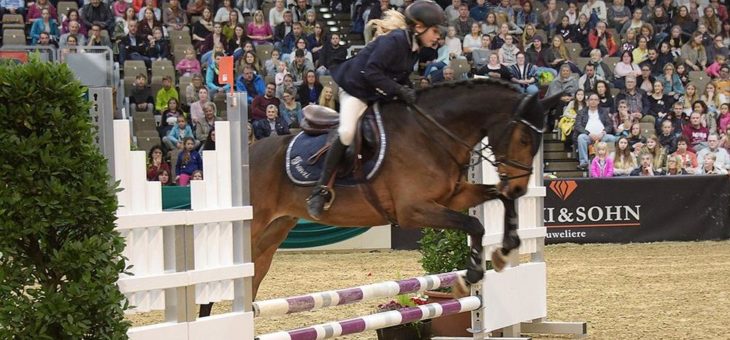 25 Jahre Faszination Pferd: Das Reitsportevent im Herbst