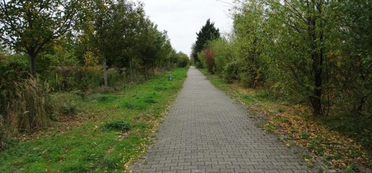 „Urbane Wälder“: neue Waldformen bereichern die Stadt