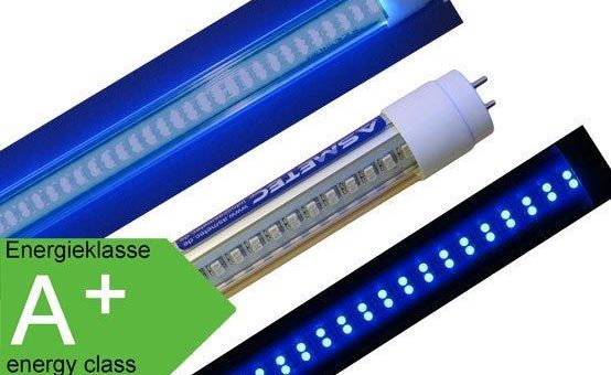 LED Blaulicht Röhren gegen Schimmelbildung