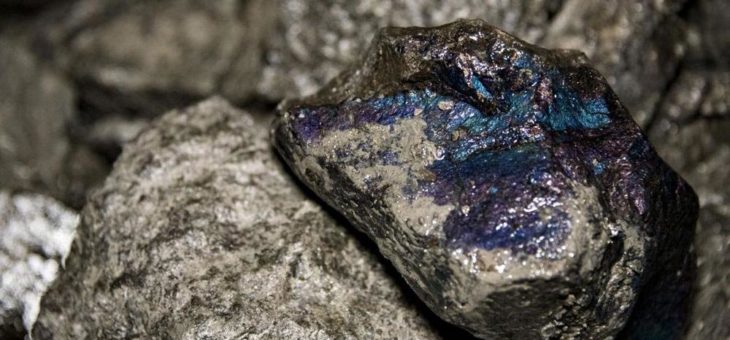 Go Cobalt entdeckt über 4 Kilometer großes Zielgebiet auf Monster