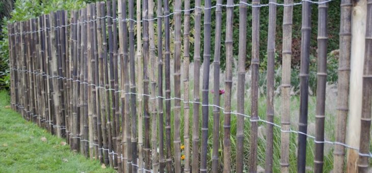 Rollzaun aus Bambus – Für mehr als nur den Japangarten