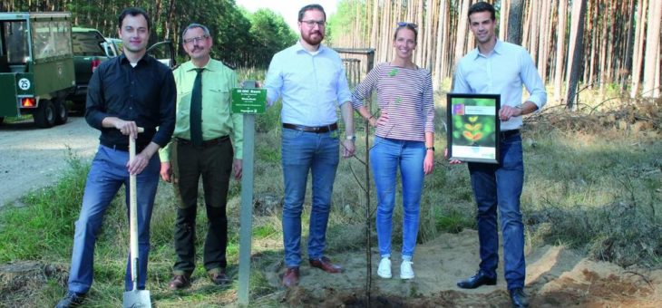 50 000. Baum im Piepenbrock-Forst gepflanzt