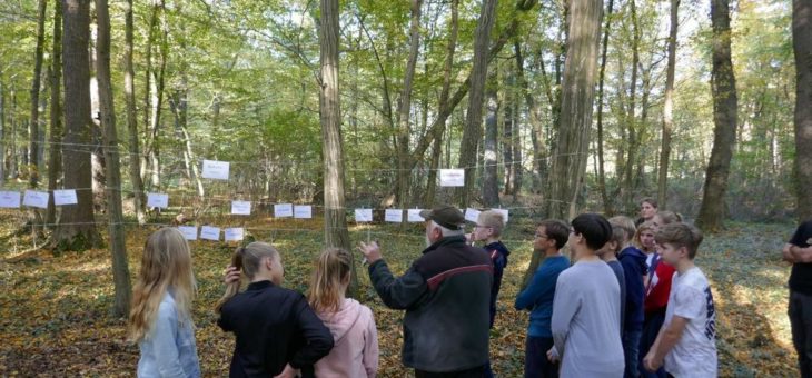 Neue Profis für die Waldpädagogik