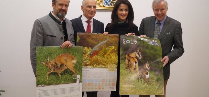 Schulkalender 2019: Kleine Tiere – ganz groß
