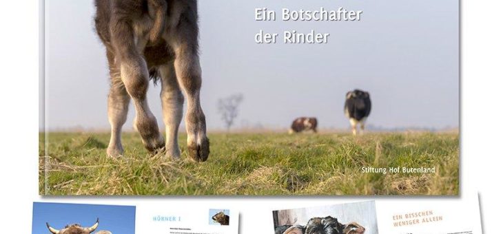 Der Lebenshof Butenland hat ein neues Buch über Rinder veröffentlicht